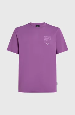 Homme O'Neill T-Shirts|Protection Anti-Uv-HommesT-shirt Retro Graphic| Violet