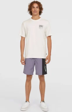 Homme O'Neill T-Shirts|Protection Anti-Uv-HommesT-shirt Retro Graphic| Blanc