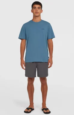 Homme O'Neill T-Shirts|Protection Anti-Uv-HommesT-shirt Small Logo| Bleu