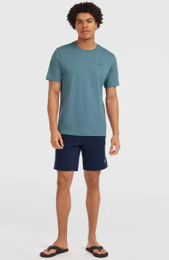 Homme O'Neill T-Shirts|Protection Anti-Uv-HommesT-shirt Small Logo| Bleu