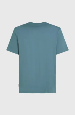 Homme O'Neill T-Shirts|Protection Anti-Uv-HommesT-shirt Small Logo| Bleu