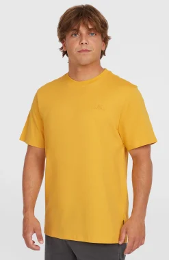 Homme O'Neill T-Shirts|Protection Anti-Uv-HommesT-shirt Small Logo| Jaune