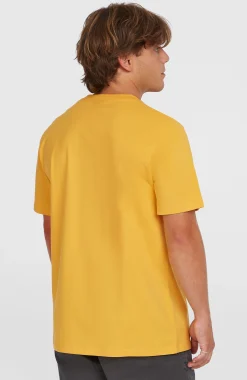 Homme O'Neill T-Shirts|Protection Anti-Uv-HommesT-shirt Small Logo| Jaune