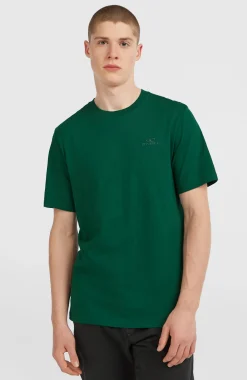Homme O'Neill T-Shirts|Protection Anti-Uv-HommesT-shirt Small Logo| Vert