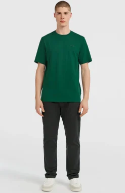 Homme O'Neill T-Shirts|Protection Anti-Uv-HommesT-shirt Small Logo| Vert