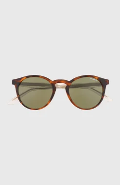 Femme O'Neill Lunettes De Soleil|Lunettes De Soleil-lunettes de soleil ShoreBreak| Brun